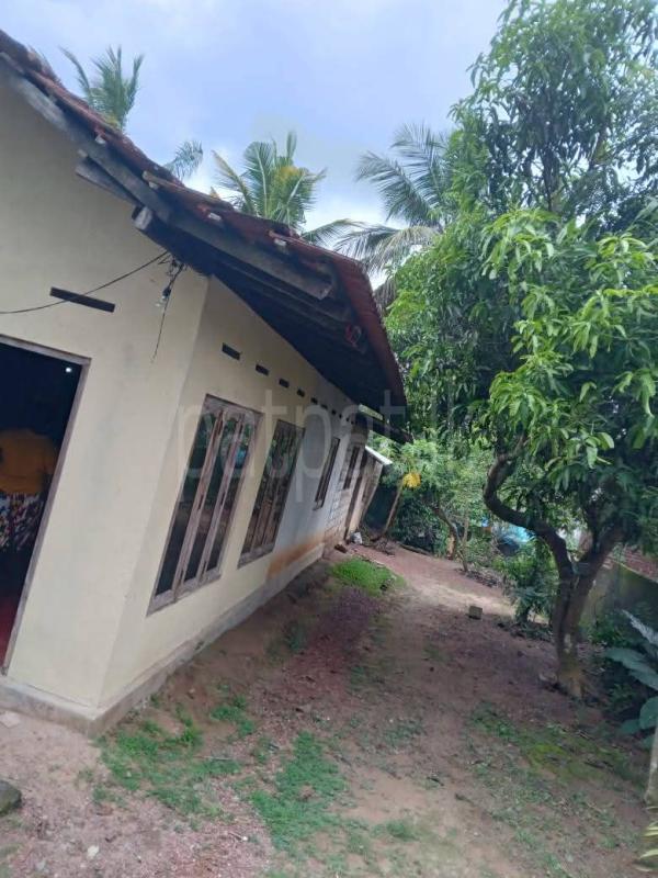 House for Sale in Divulapitiya ads-image-1