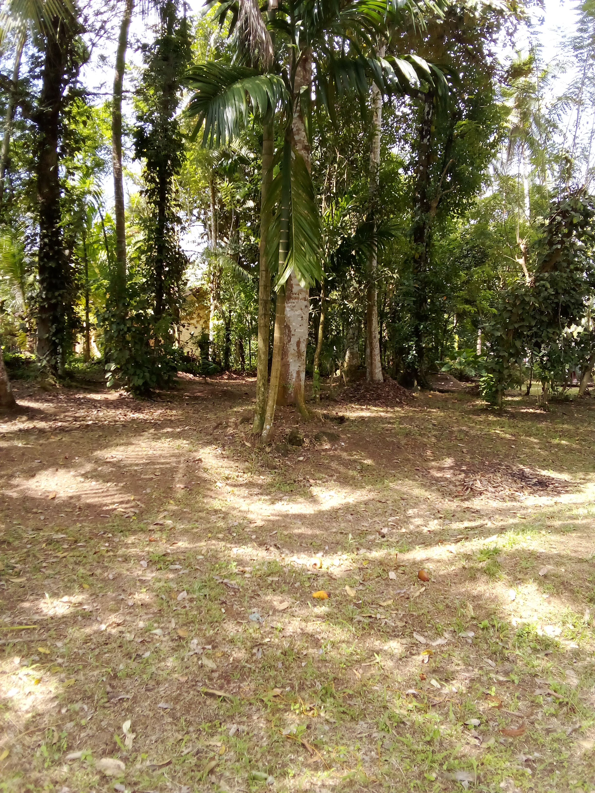 Commercial Land for Sale in Kosgama