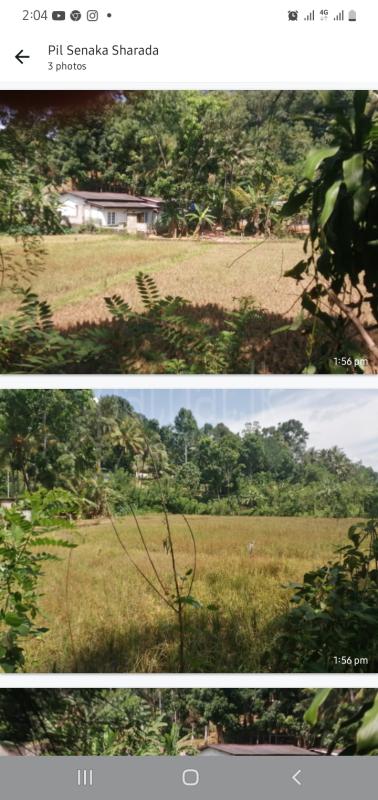 premium-listing-image