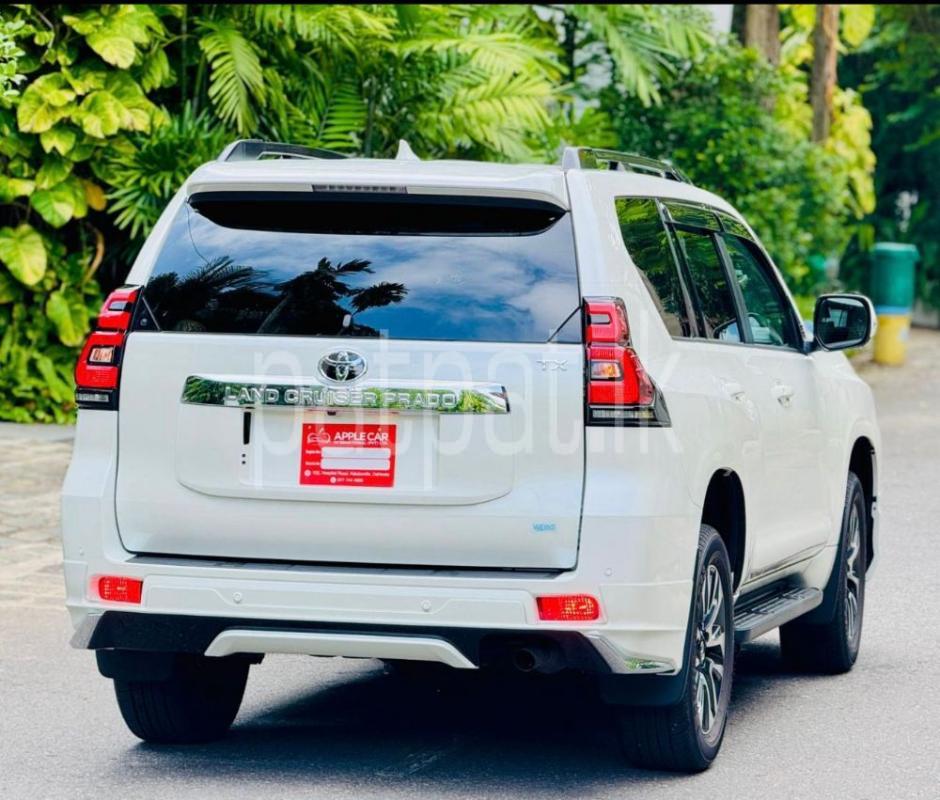 Advertisement image 6