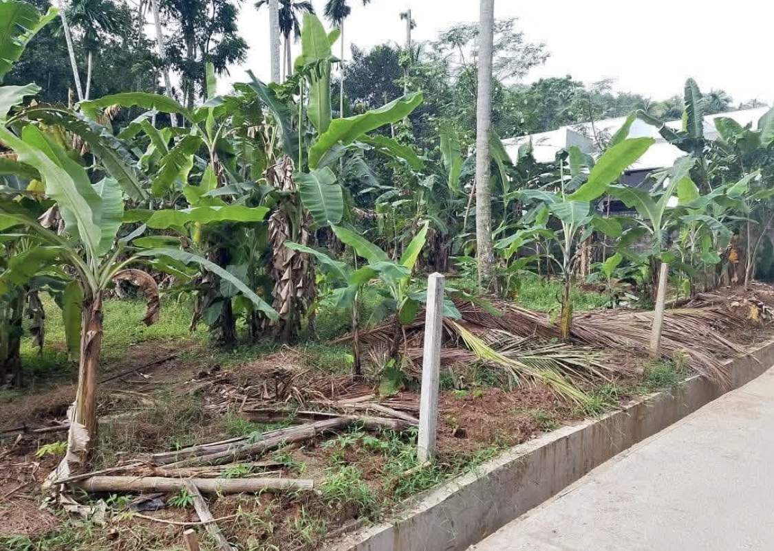 Commercial Land for Sale in Kundasale
