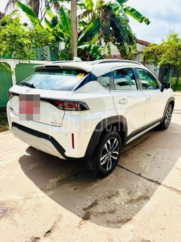 Advertisement image 3