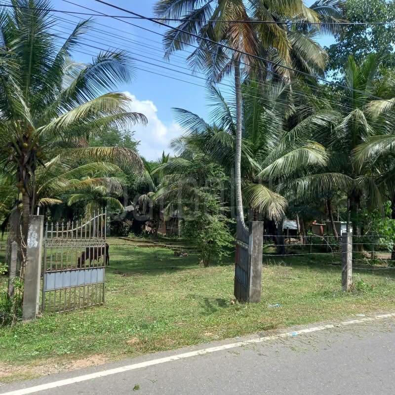 Agricultural Land for Sale in Kurunegala