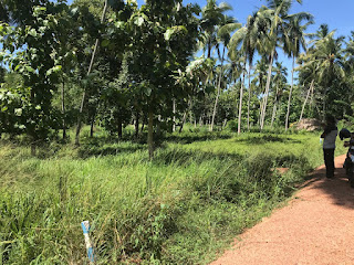 Residential Land for Sale in Udubaddawa