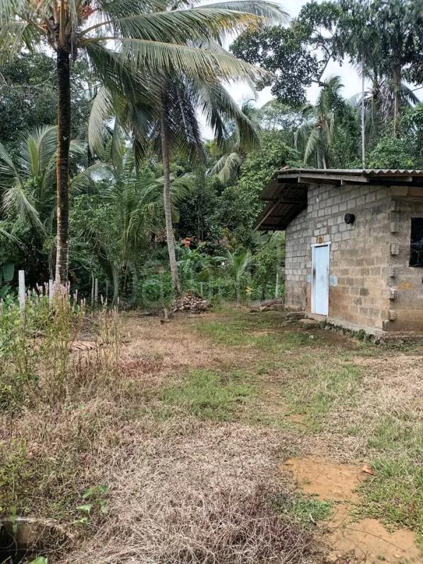 Residential Land for Sale in Horana