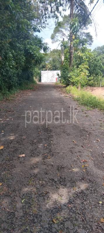 Commercial Land for Sale in Boralesgamuwa