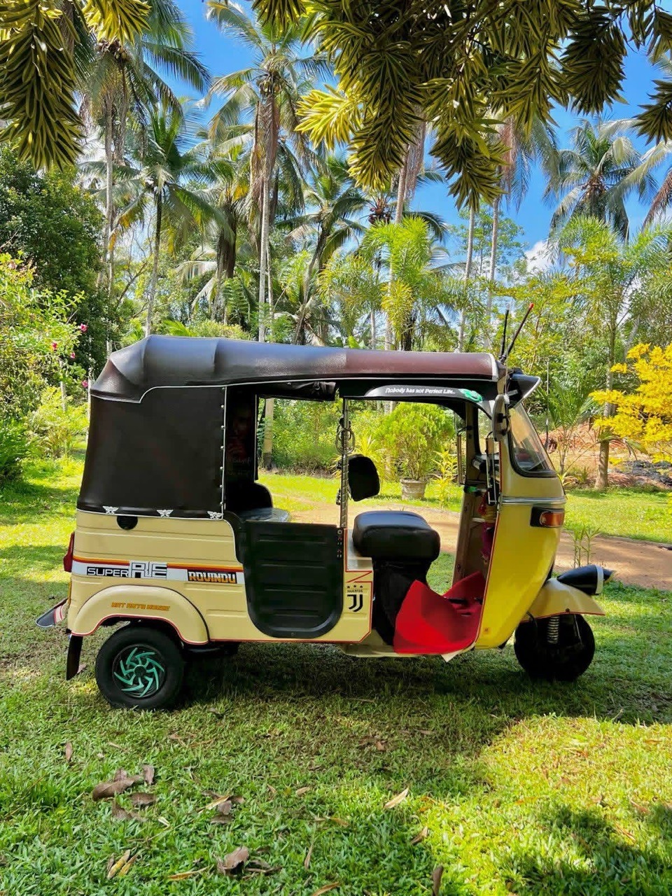 Advertisement image 4