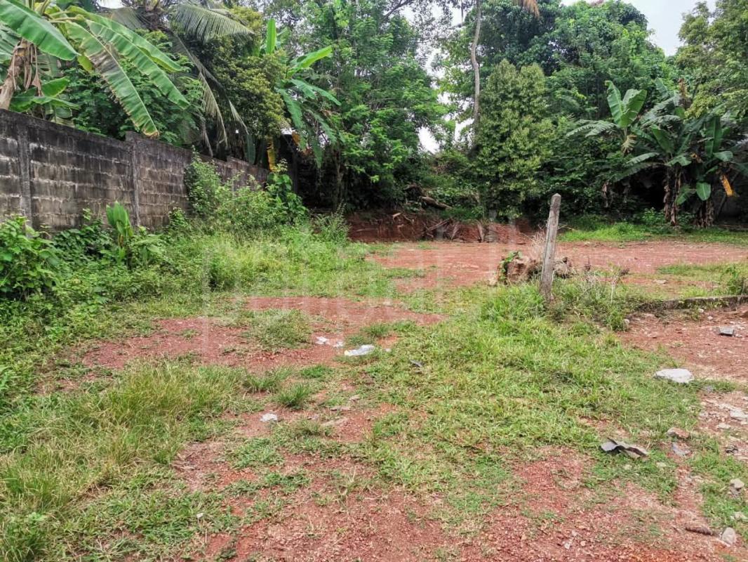 Commercial Land for Sale in Panadura ads-image-1