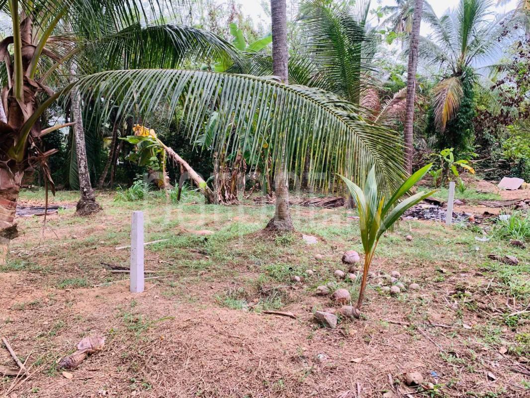 Agricultural Land for Sale in Kadawatha
