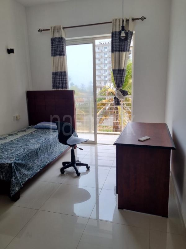 Furnished Apartment for Rent in Mount Lavinia ads-image-1