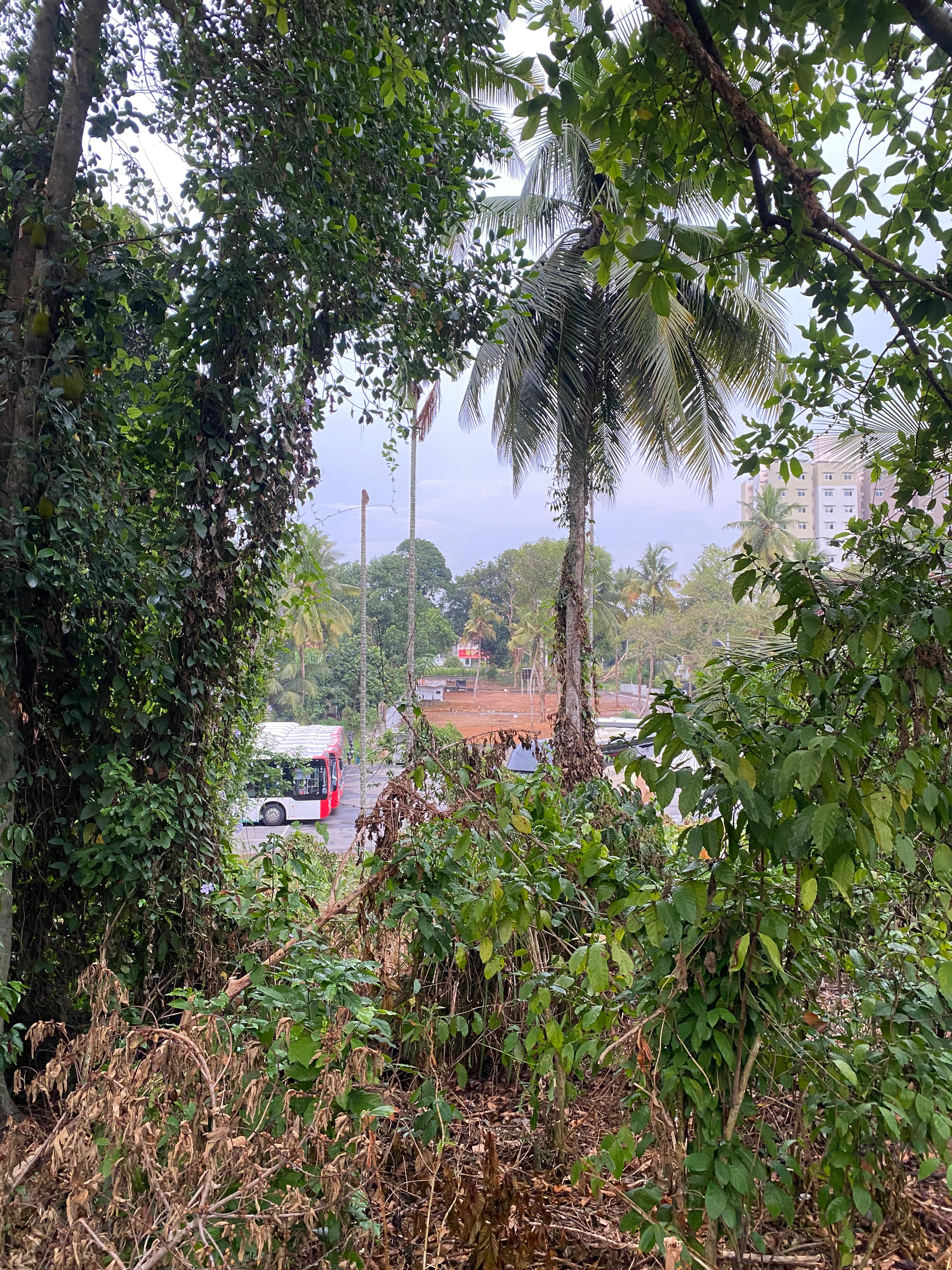 Agricultural Land for Sale in Kottawa