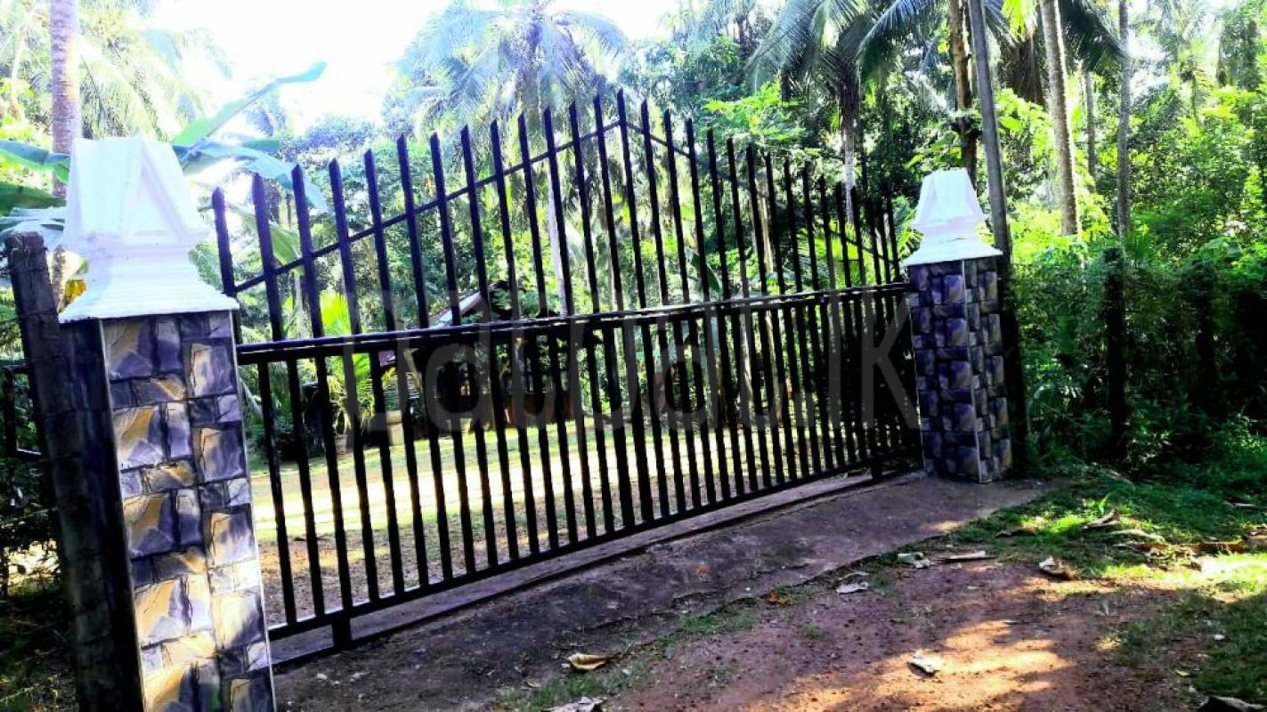 Advertisement image 4