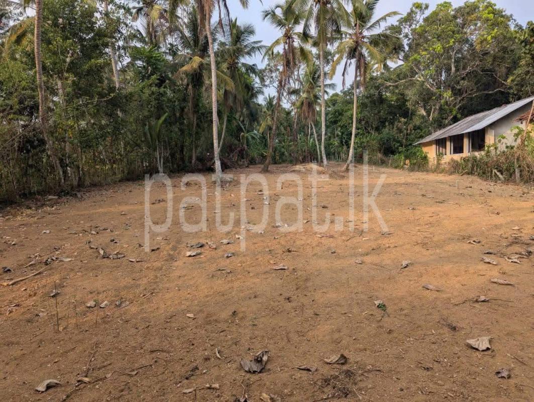 Advertisement image 1