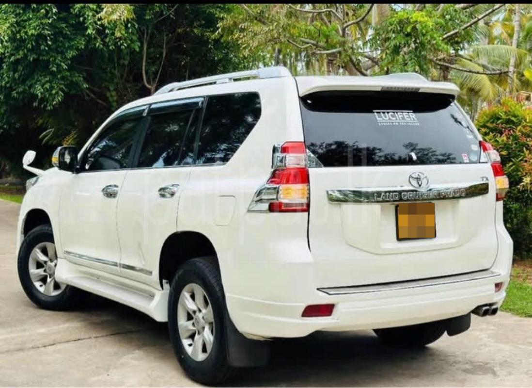 Advertisement image 4