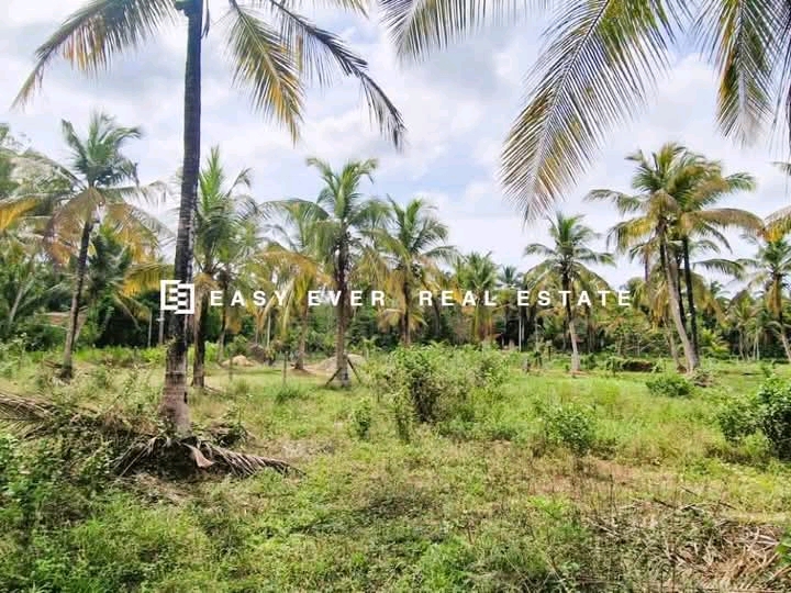 Commercial Land for Sale in Kuliyapitiya