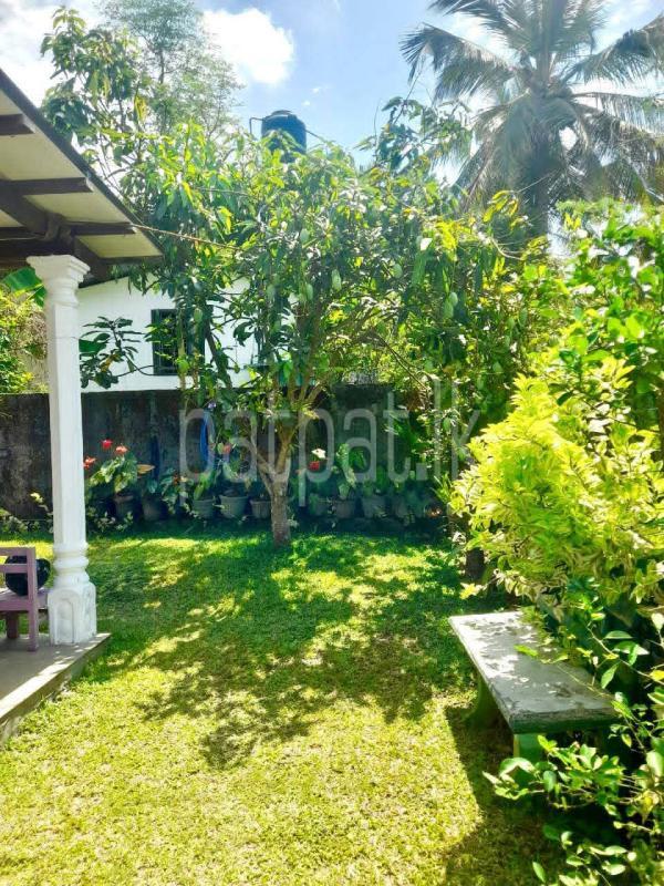 House for Sale in Kotte