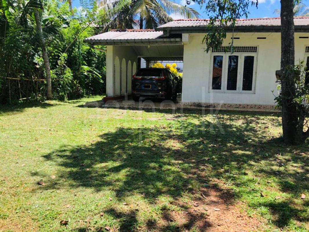 House for Rent in Piliyandala ads-image-1