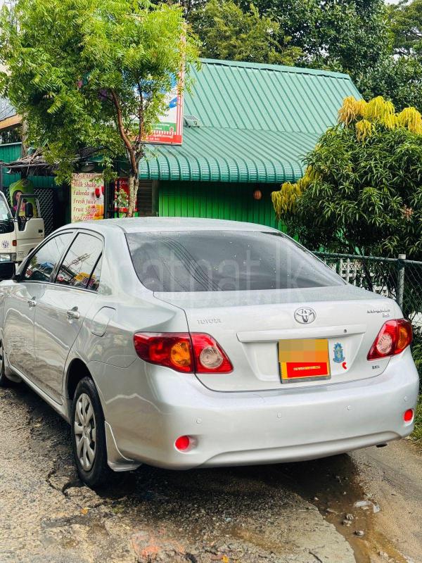 Advertisement image 2