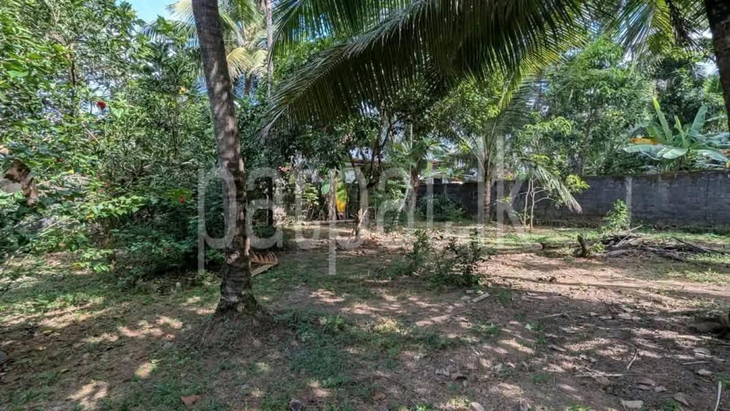 Residential Land for Sale in Pamunugama