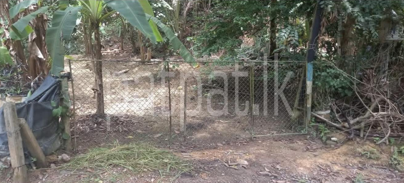 Commercial Land for Sale in Wanchawela