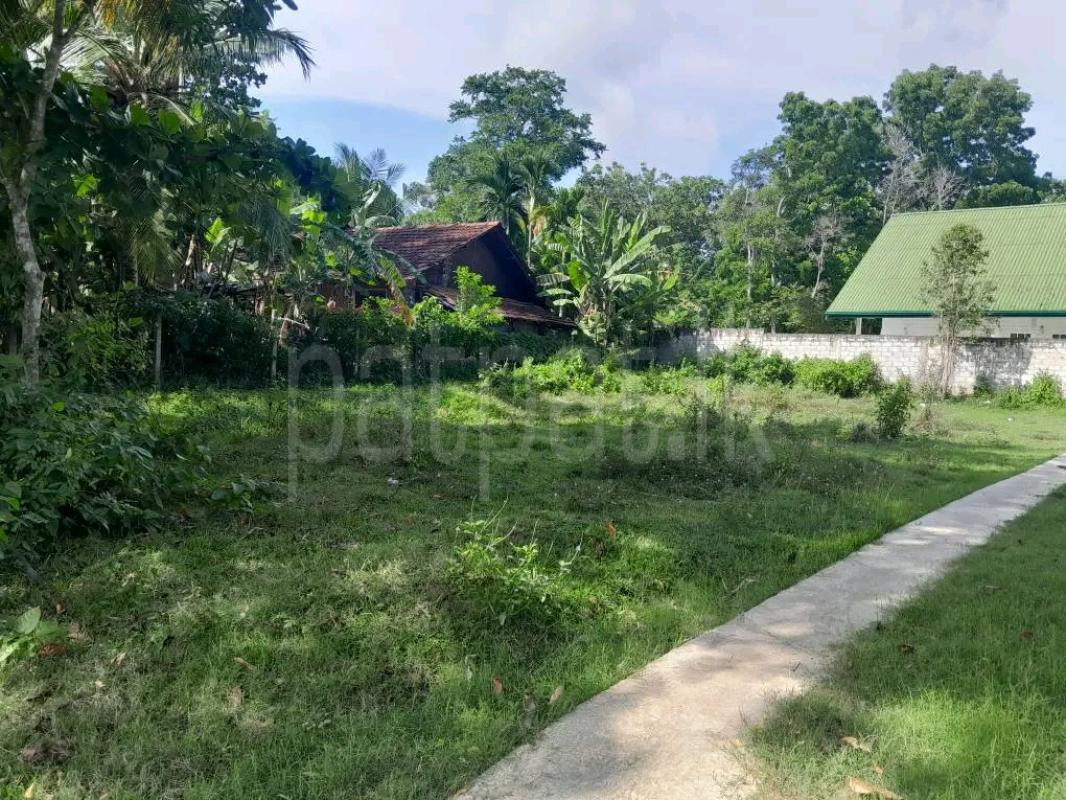 Agricultural Land for Sale in Maho