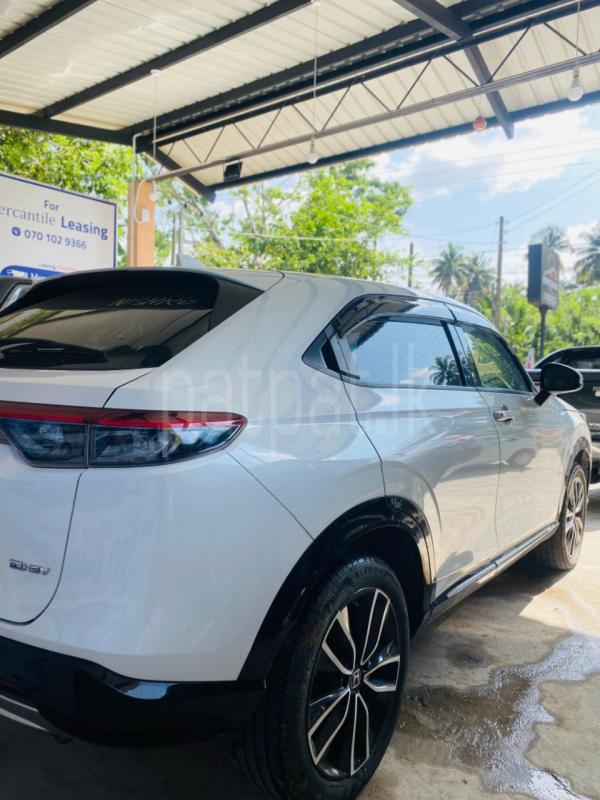 Advertisement image 3