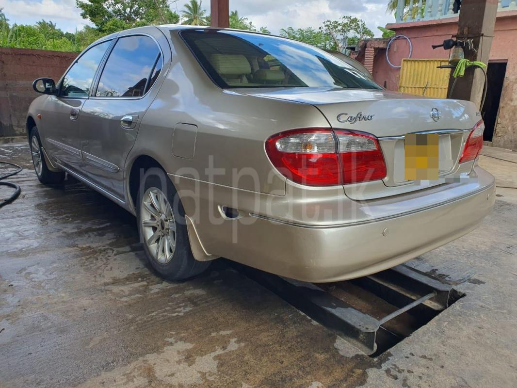 Advertisement image 6