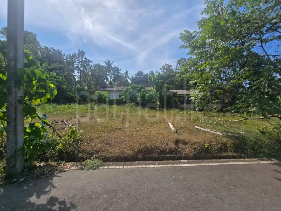 Residential Land for Sale in Panadura