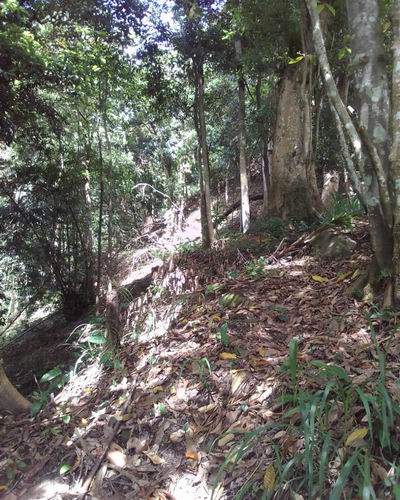 Commercial Land for Sale in Kandy