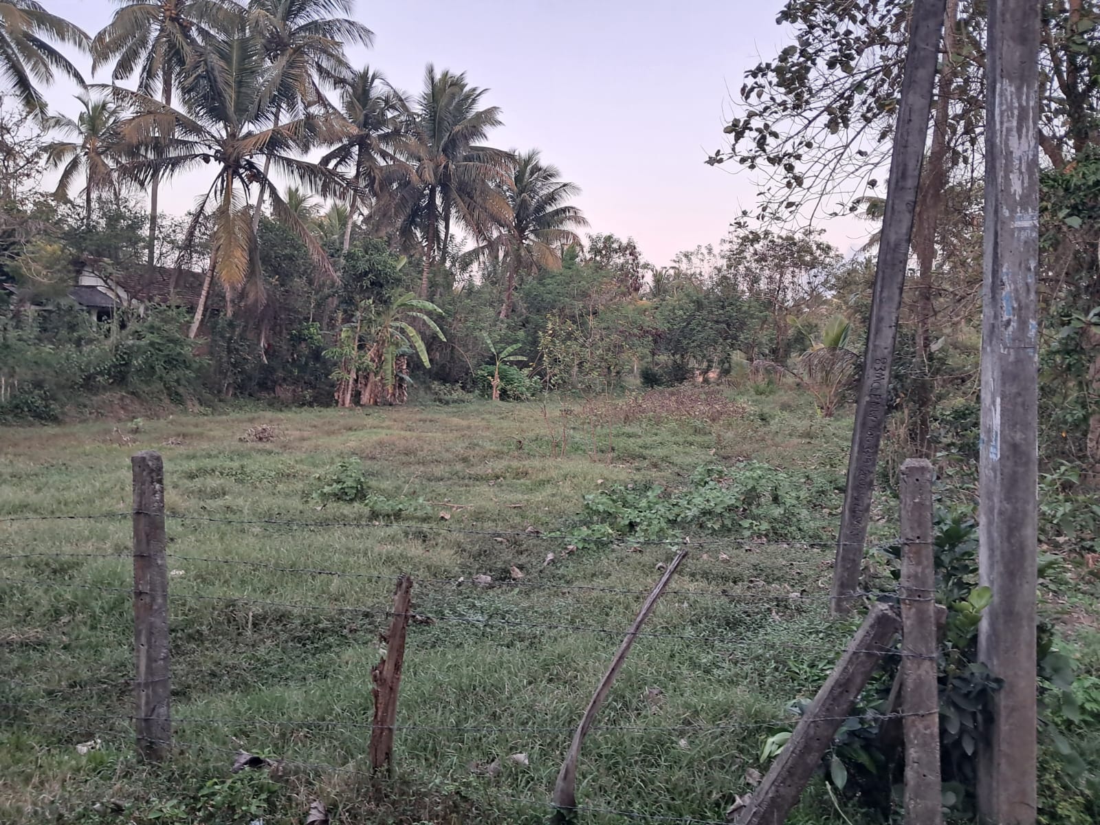 Residential Land for Sale in Hettipola