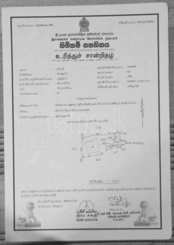 Advertisement image 1