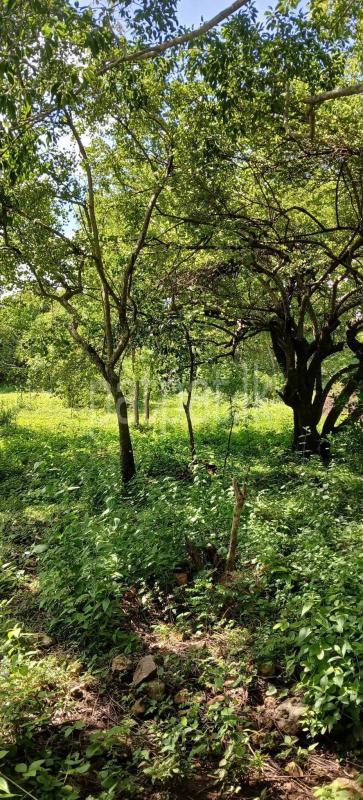 Residential Land for Sale in Kataragama