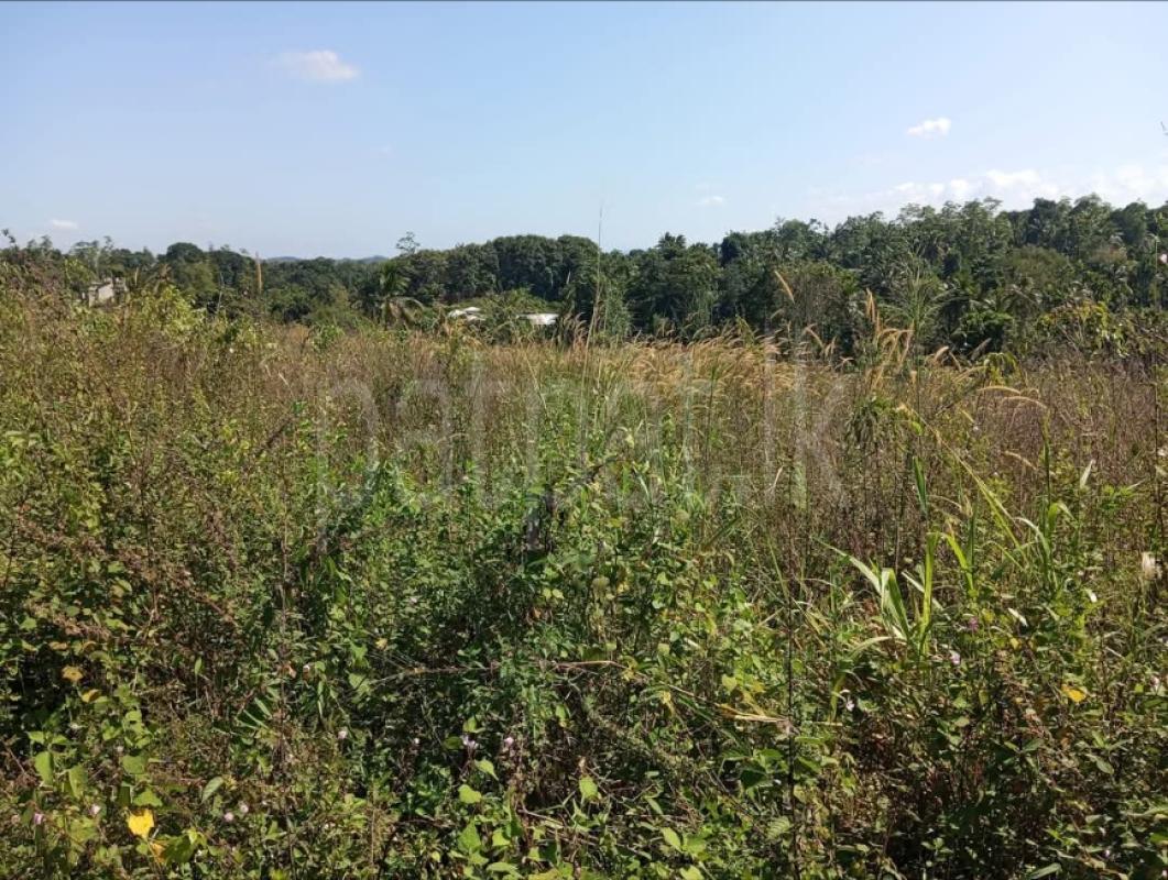 Residential Land for Sale in Bandaragama ads-image-1