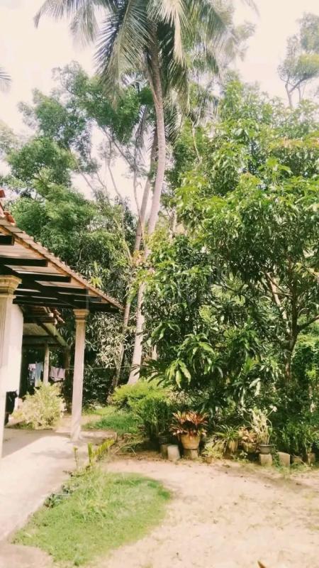 House for Sale in Kurunegala ads-image-1