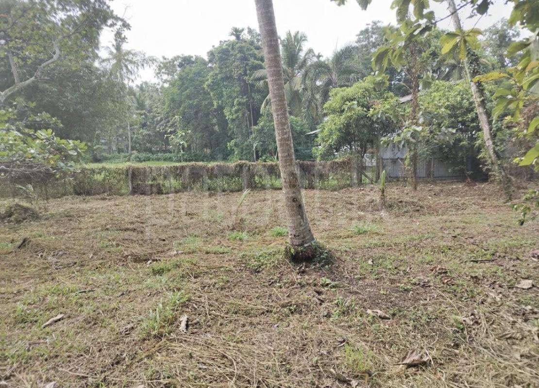 Agricultural Land for Sale in Wehigala