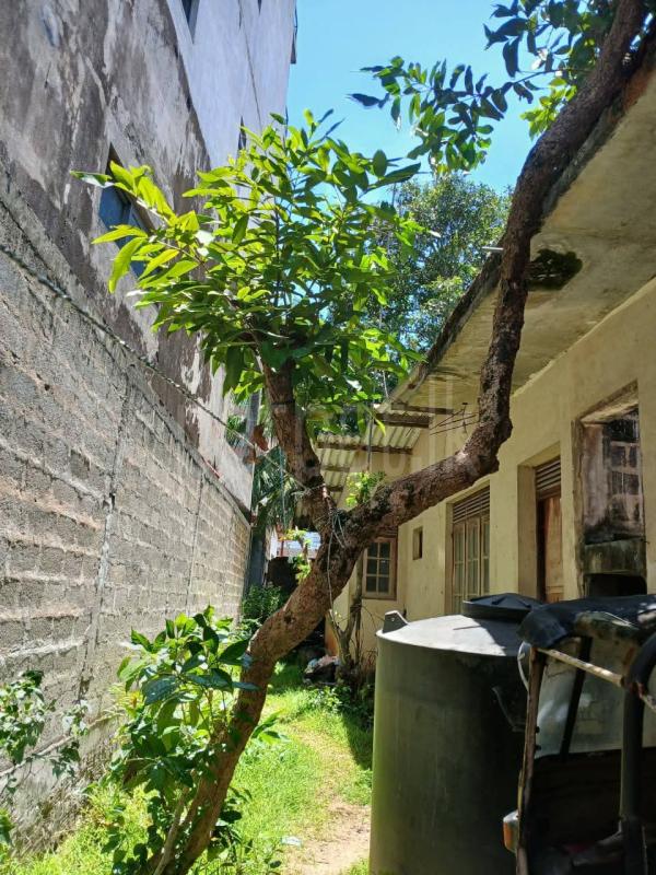 Commercial Land for Sale in Kirulapone