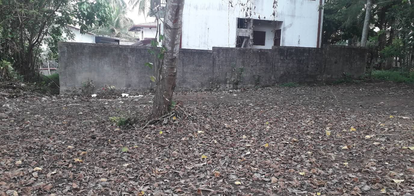 Commercial Land for Sale in Homagama