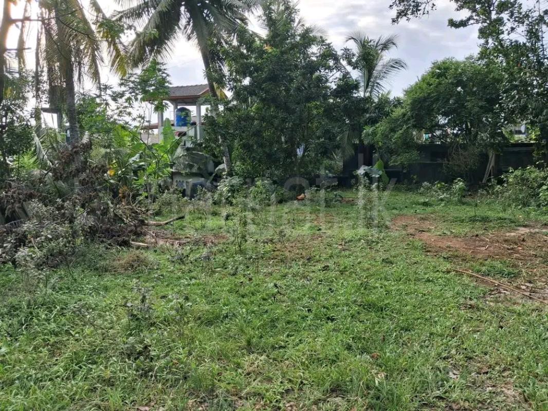Residential Land for Sale in Wattala