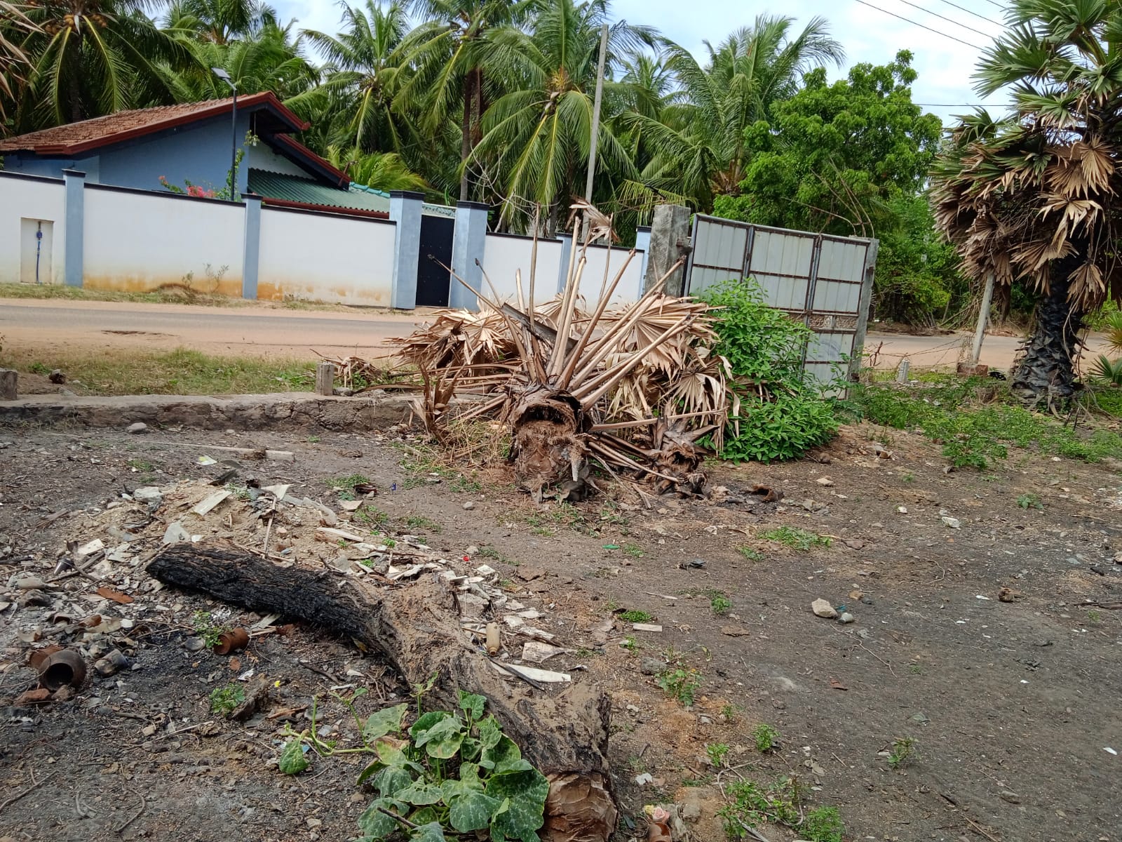 Commercial Land for Sale in Puttalam