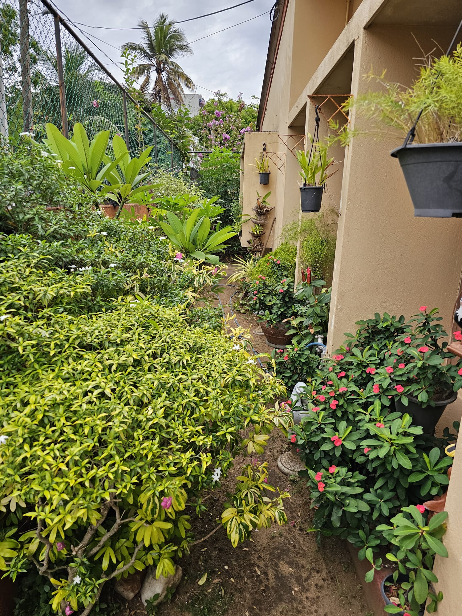 House for Sale in Dehiwala