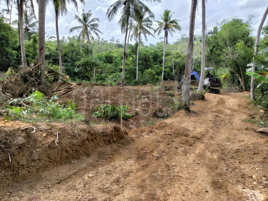 Commercial Land for Sale in Gintota