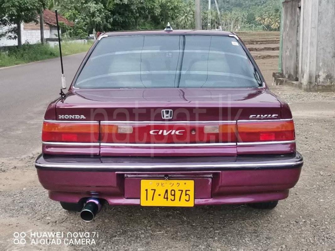 Advertisement image 3