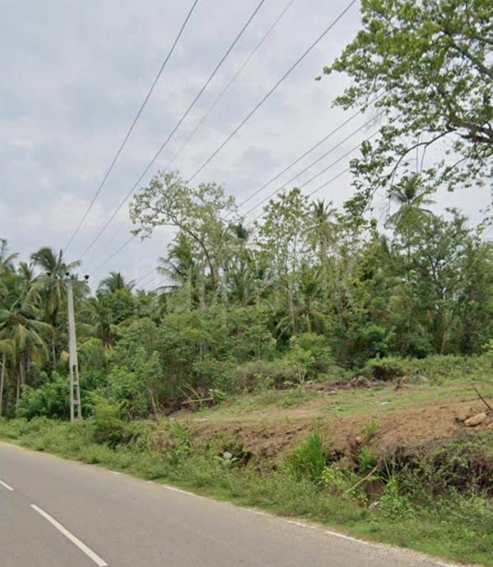 Agricultural Land for Sale in Beliatta