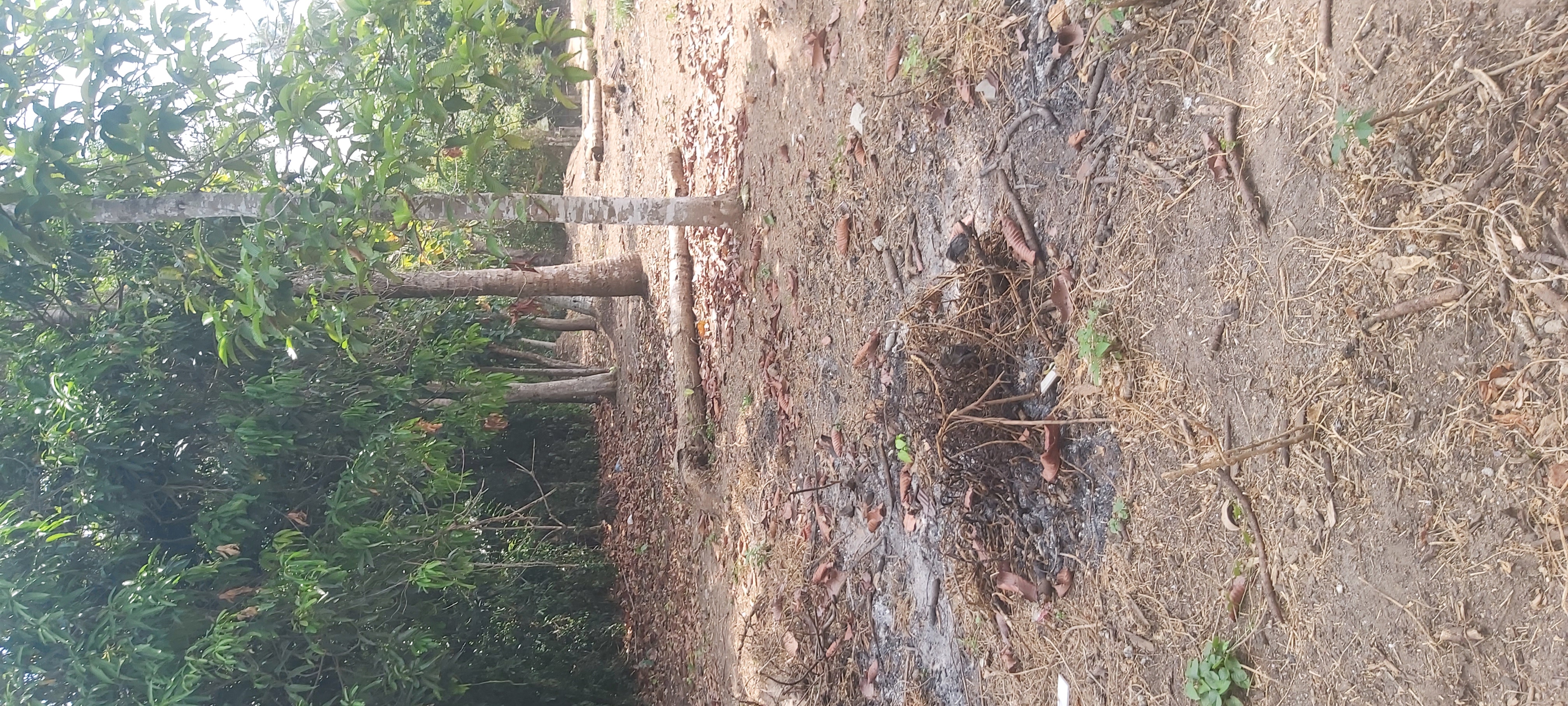 Residential Land for Sale in Minuwangoda