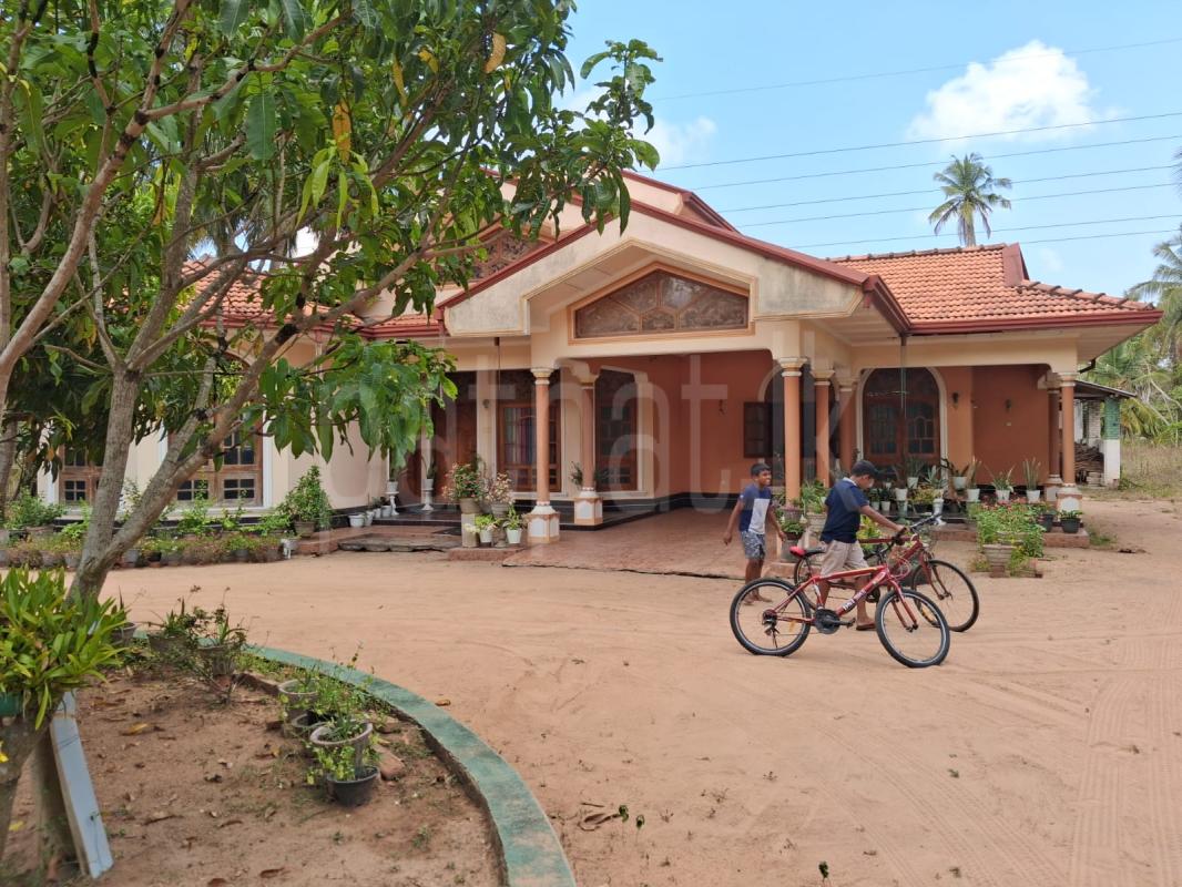 House for Sale in Nattandiya ads-image-1