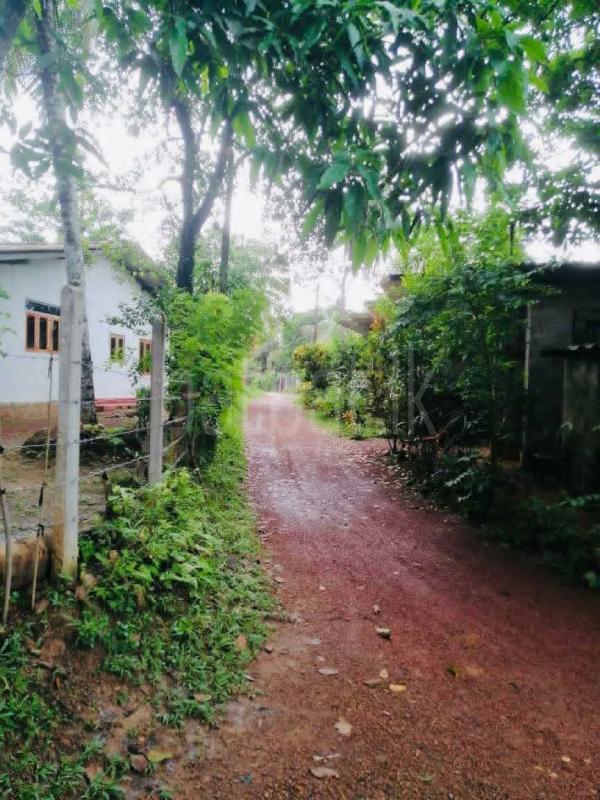 House for Sale in Panadura ads-image-1