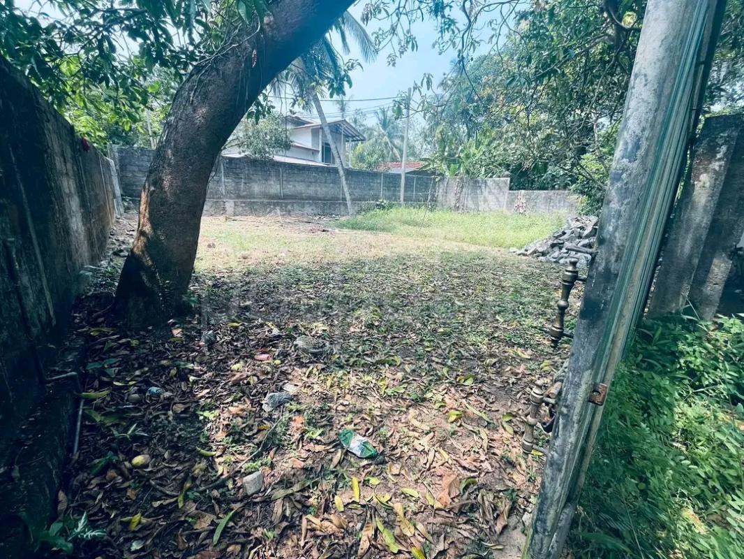 Residential Land for Sale in Ragama