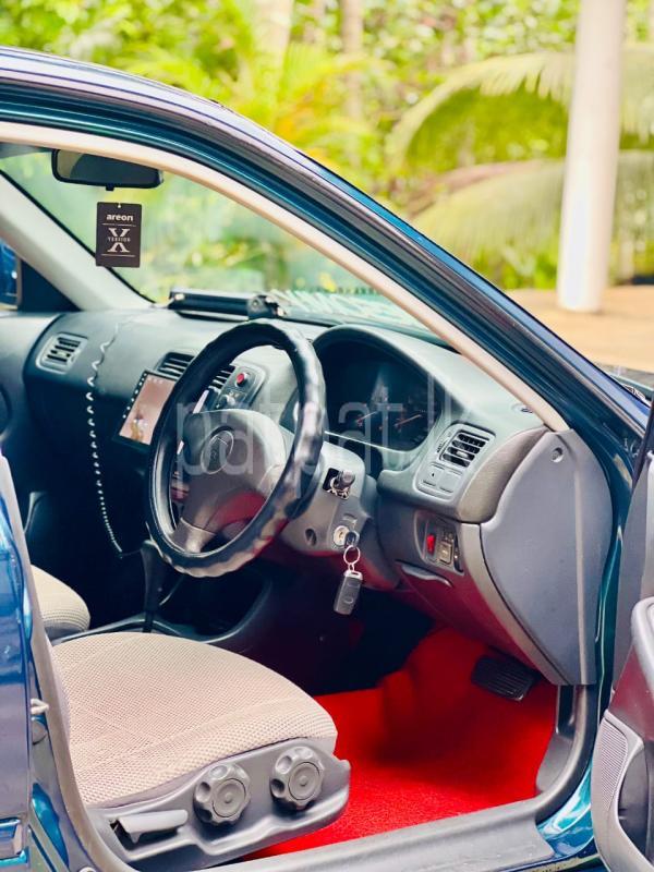 Advertisement image 3