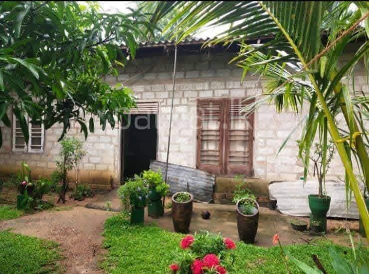 House for Sale in Minuwangoda