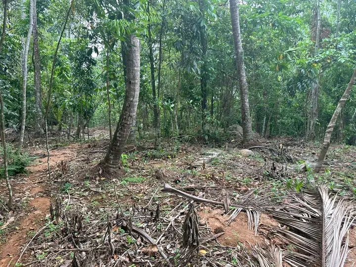 Commercial Land for Sale in Nittambuwa